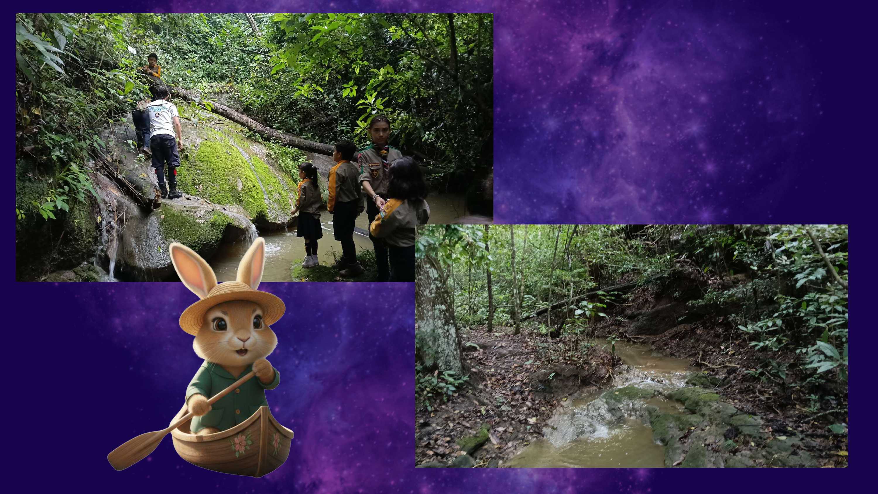 4to Campamento Nacional de Ramas Menores